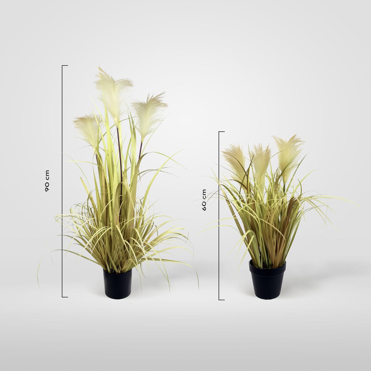 Nordic Grass