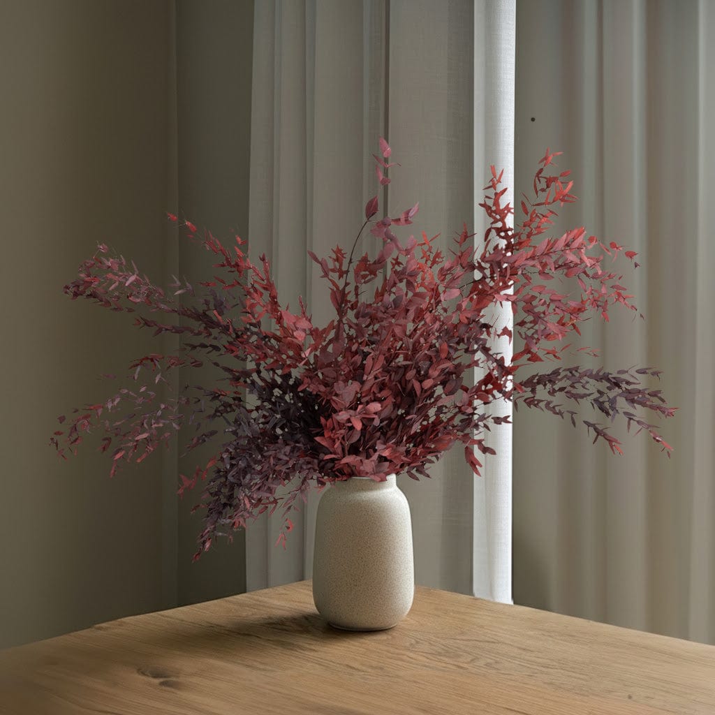 Ramo Parvifolia Granatrot