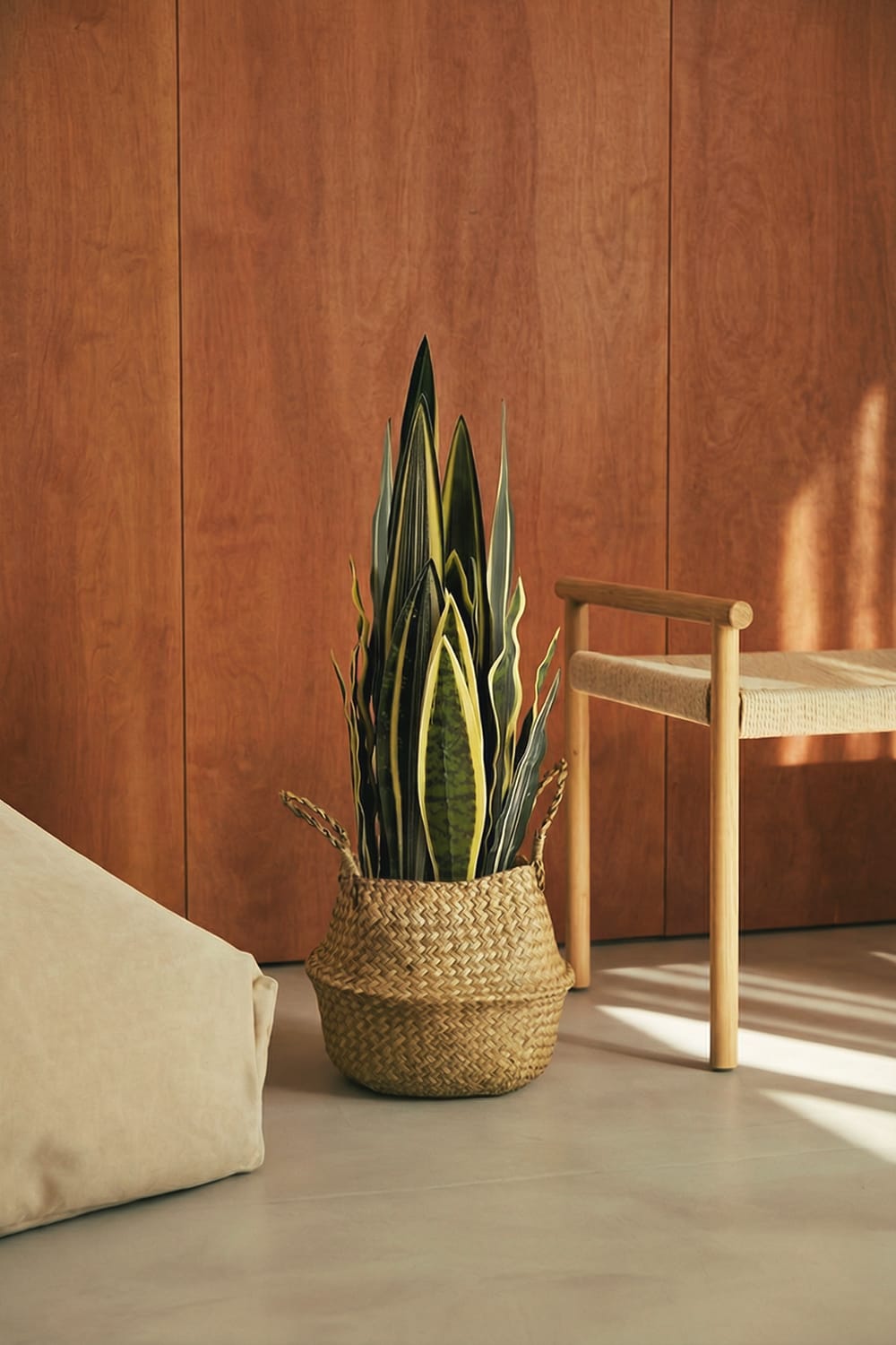 Künstliche Sansevieria-Pflanze
