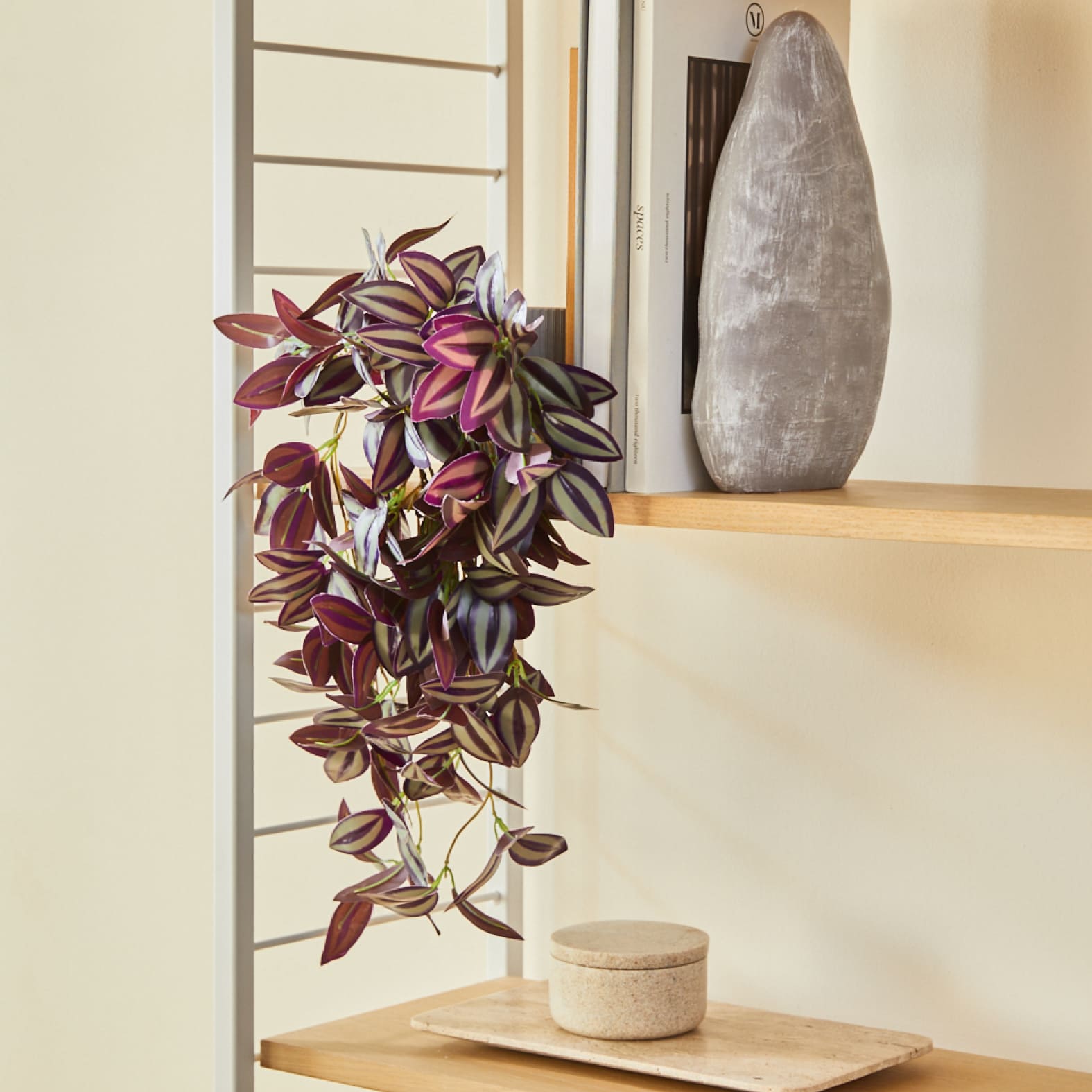 Ciondolo Tradescantia