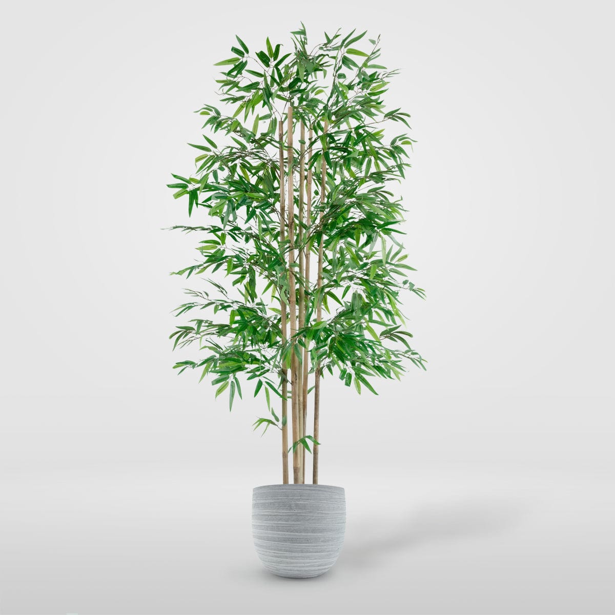 Pianta artificiale Bamboo verde cm 180 in materiale di alta qualità