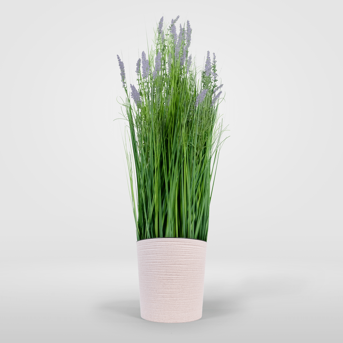 Kin Grass Lavender