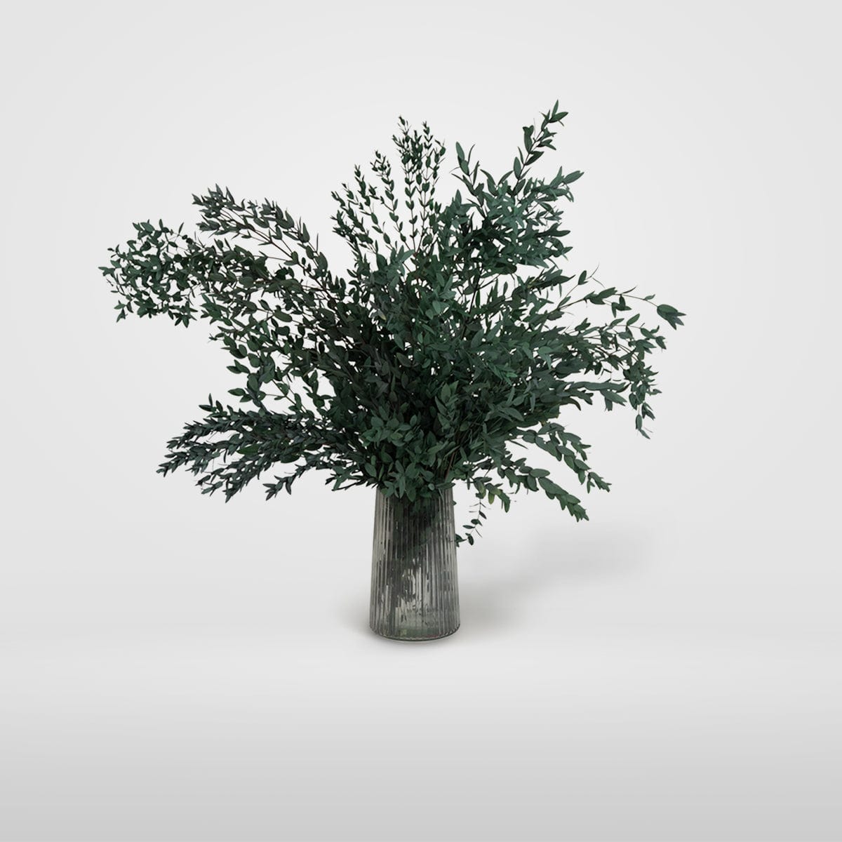 Ramo Parvifolia Grün