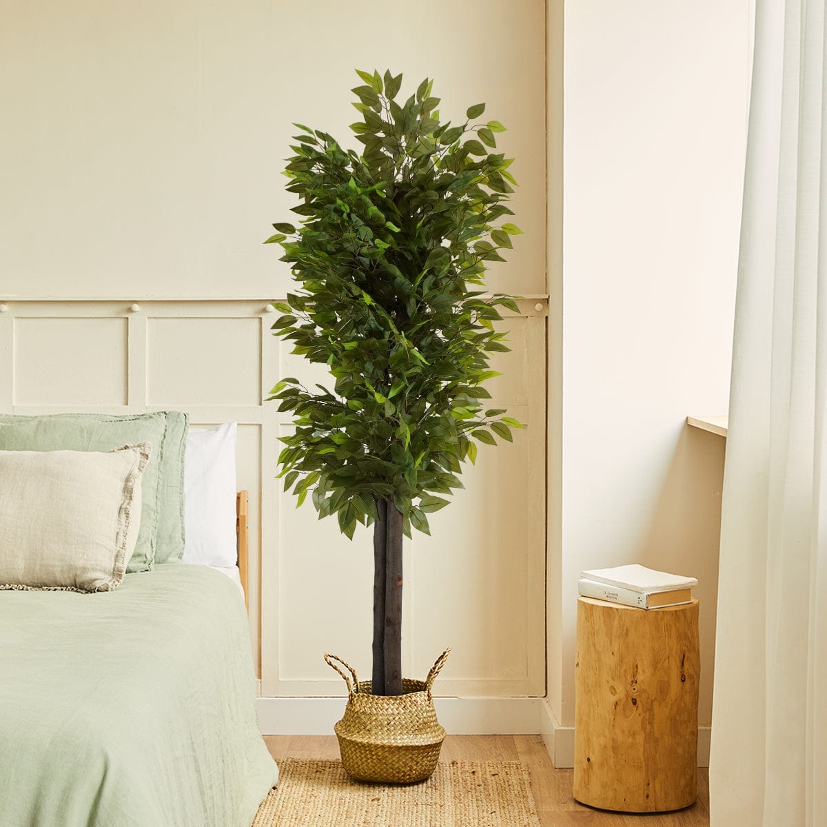 Wilder Ficus