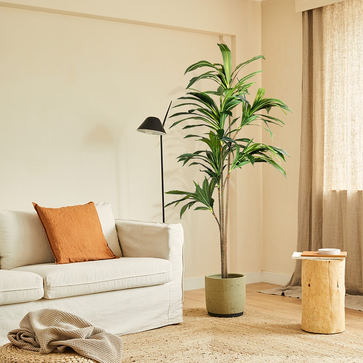 Dracaena Artificiale