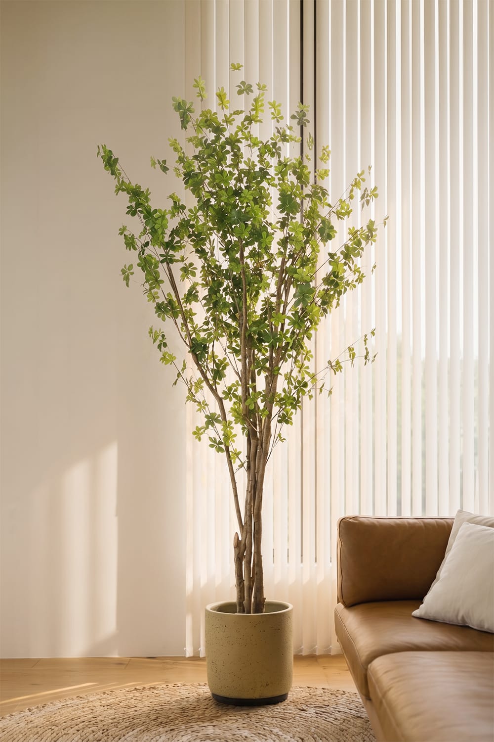 Arbre Enquianto
