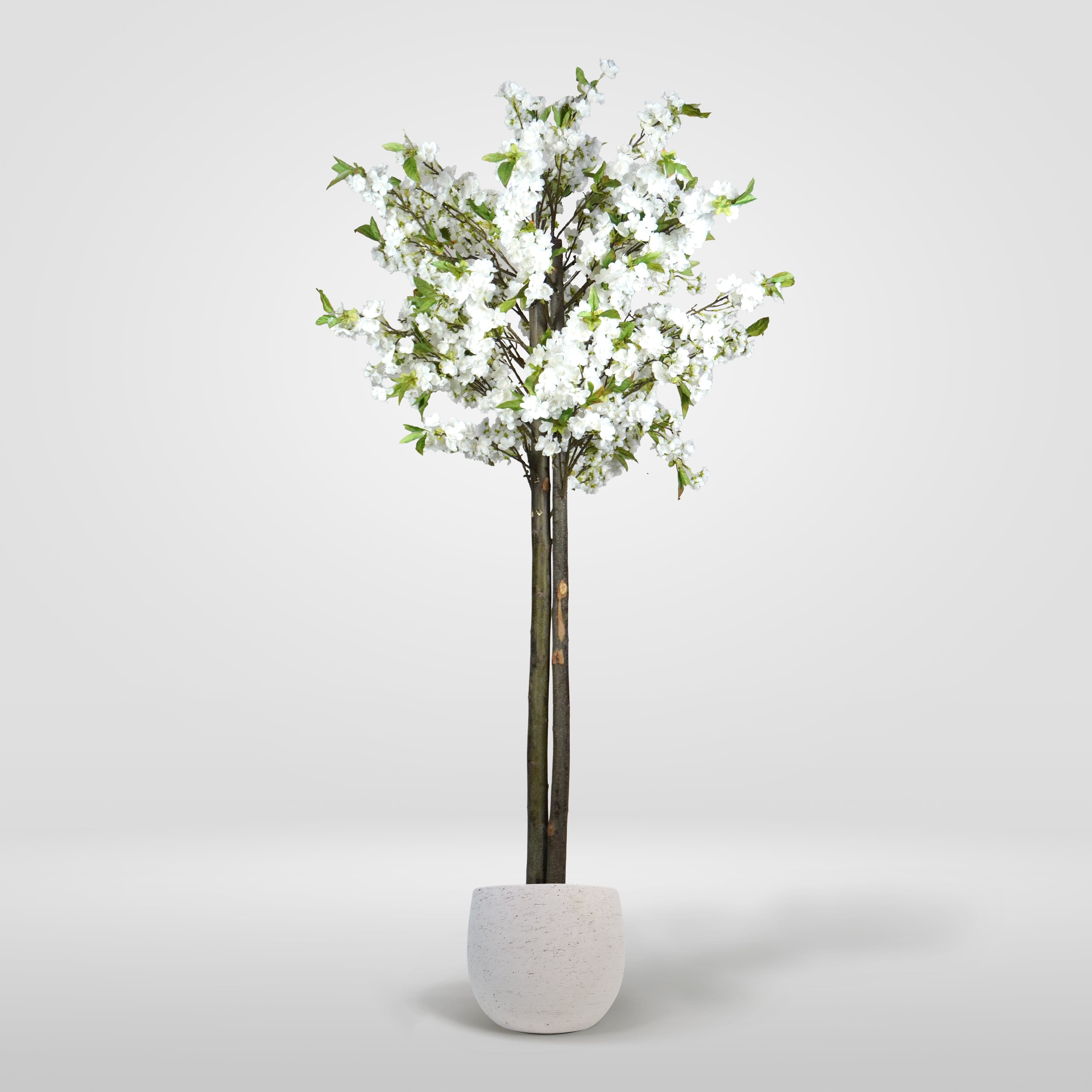 Weißer Mandelbaum