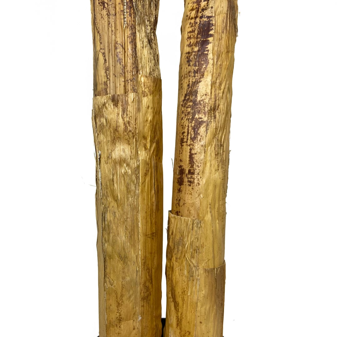 Banana tree