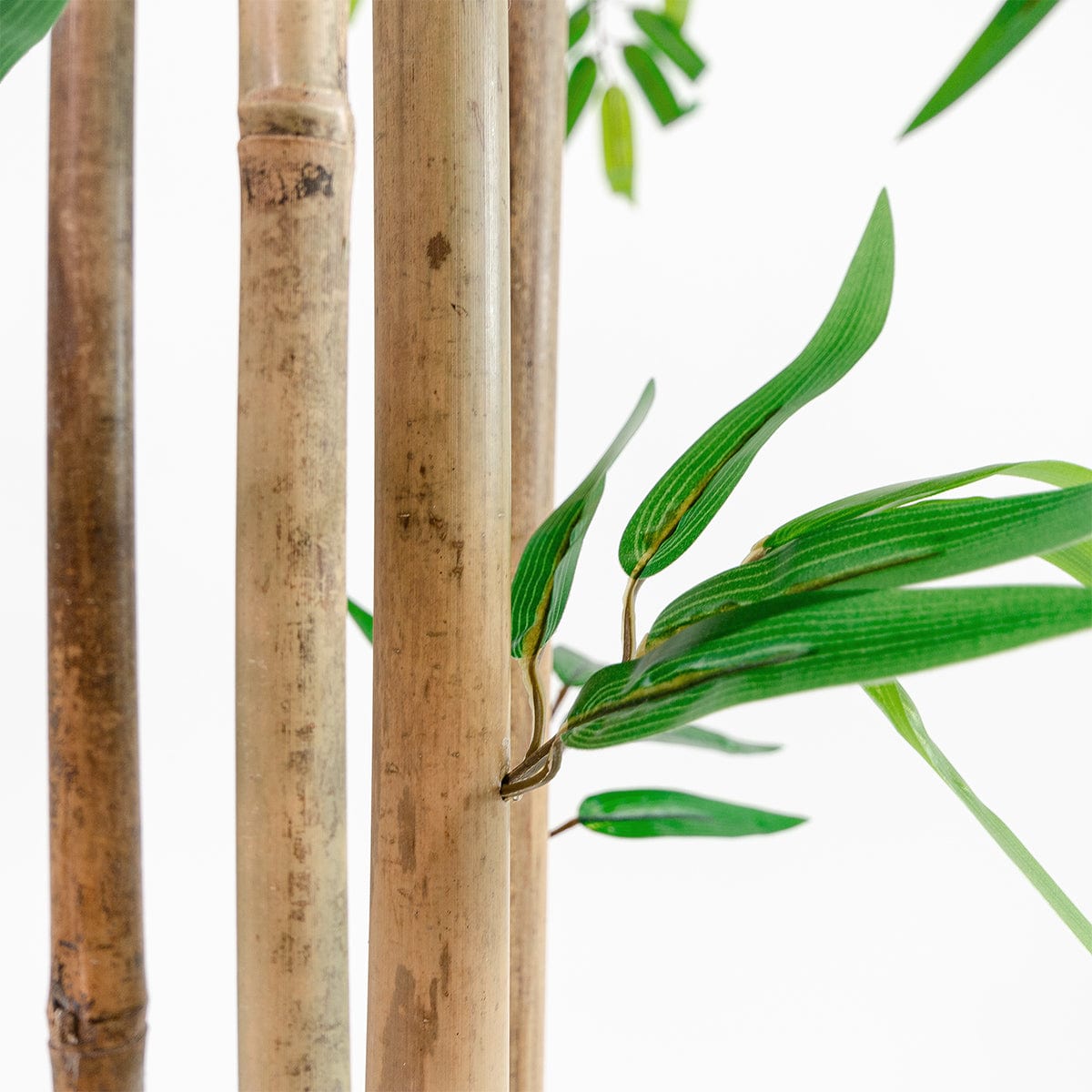Tiges de Bambou Naturelles avec des feuilles artificielles PLT2