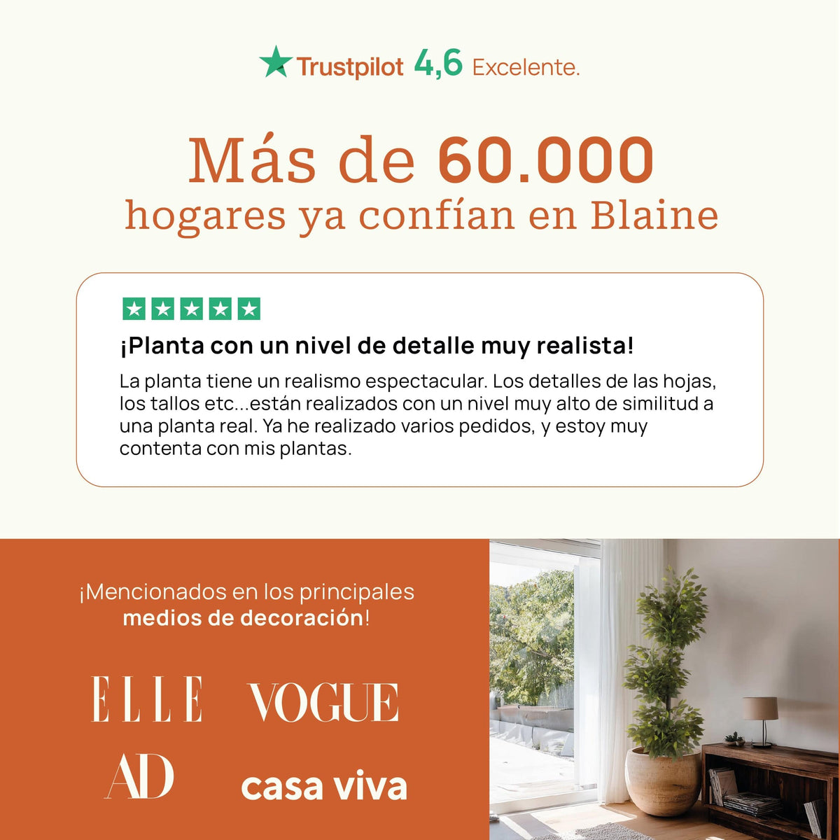 Helecho - extra 1
