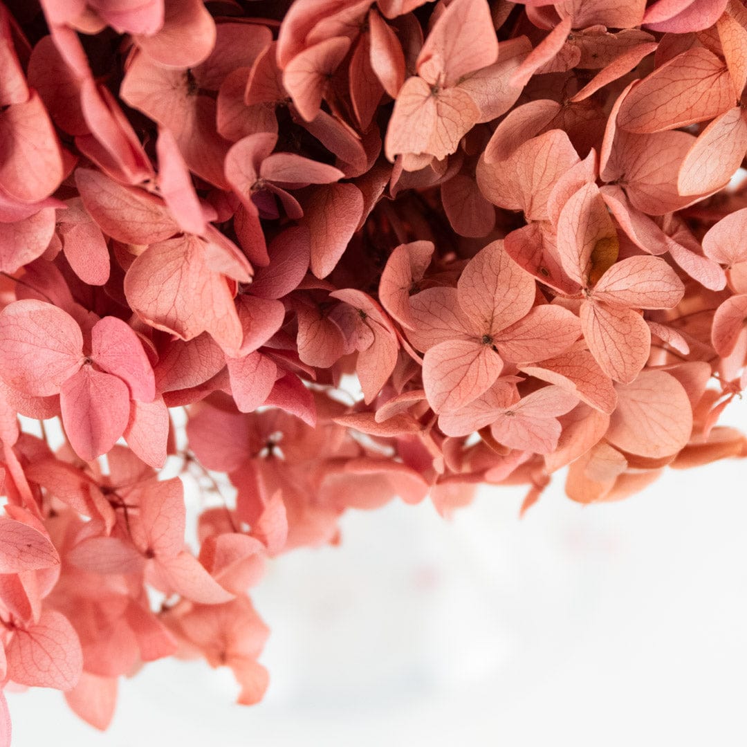 Mazzo di ortensia rosa