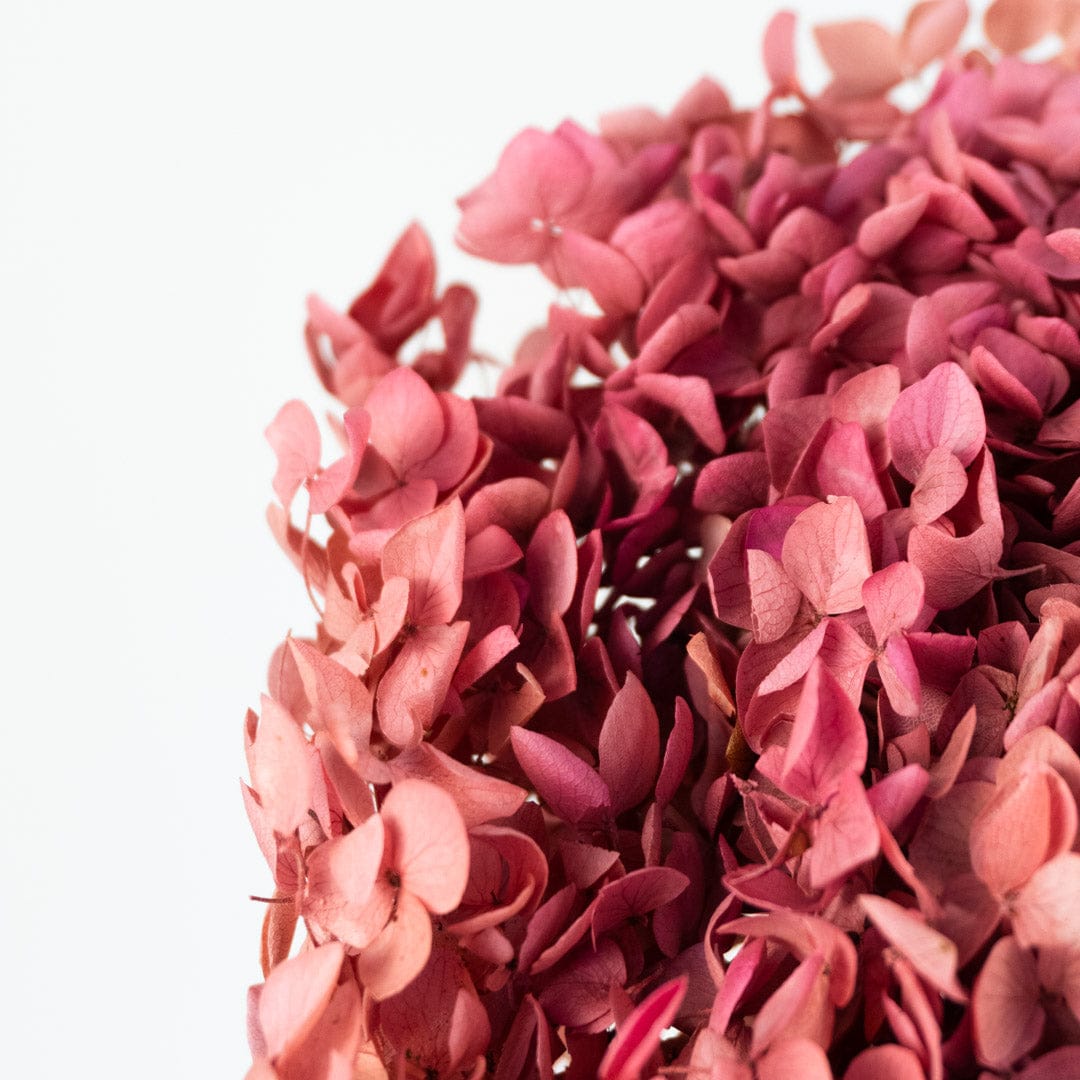 Mazzo di ortensia rosa