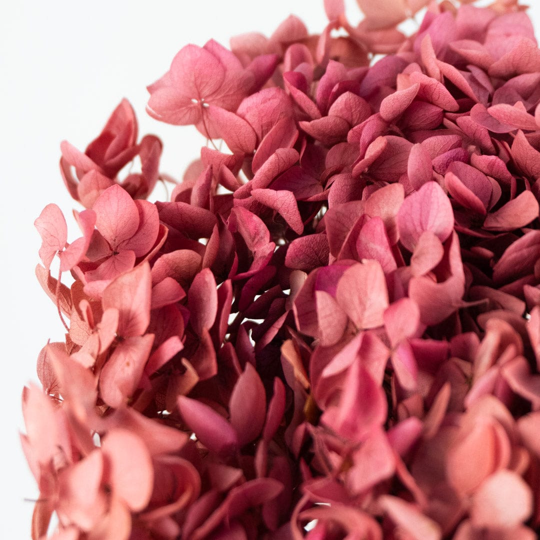 Mazzo di ortensia rosa