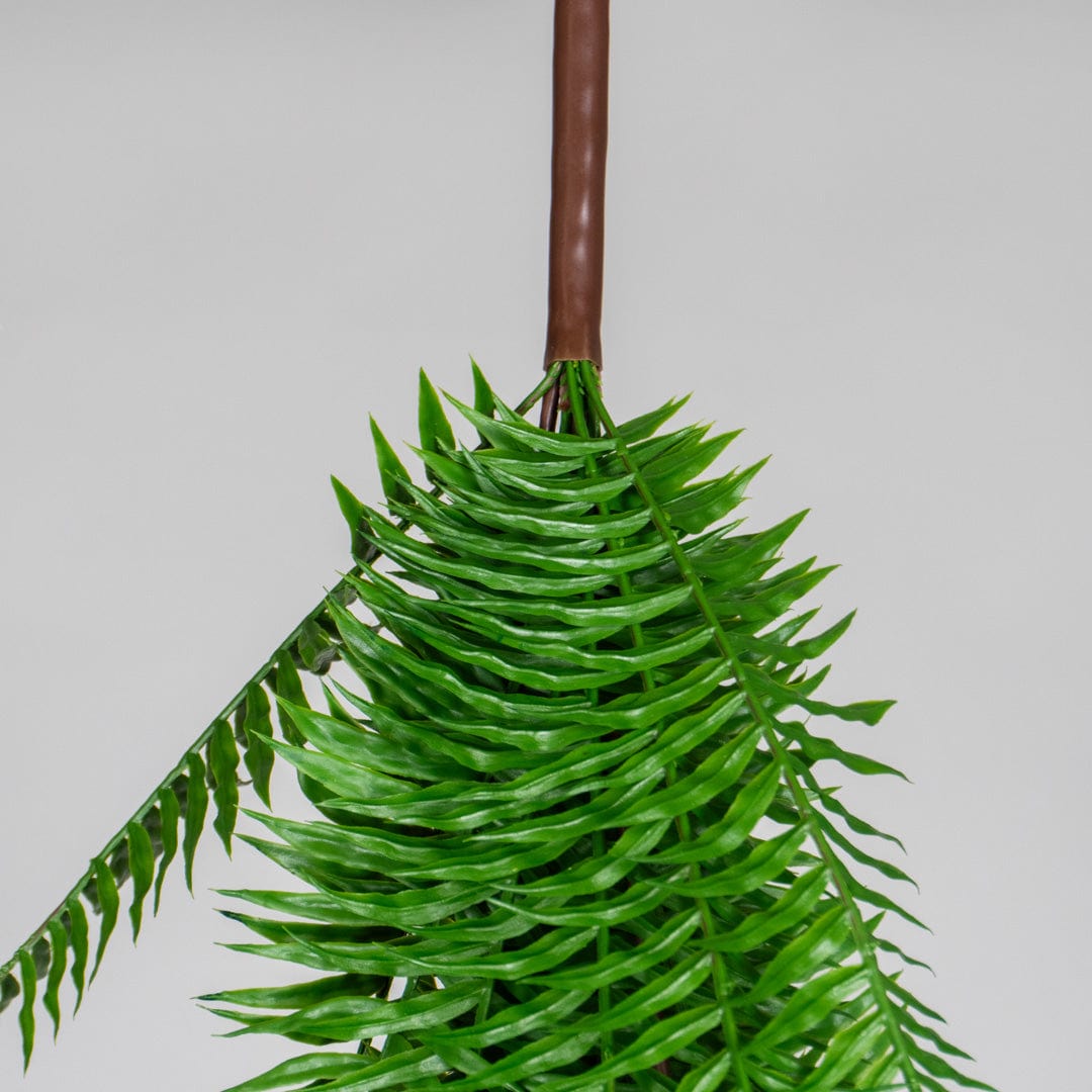 Hängender Grüner Farn