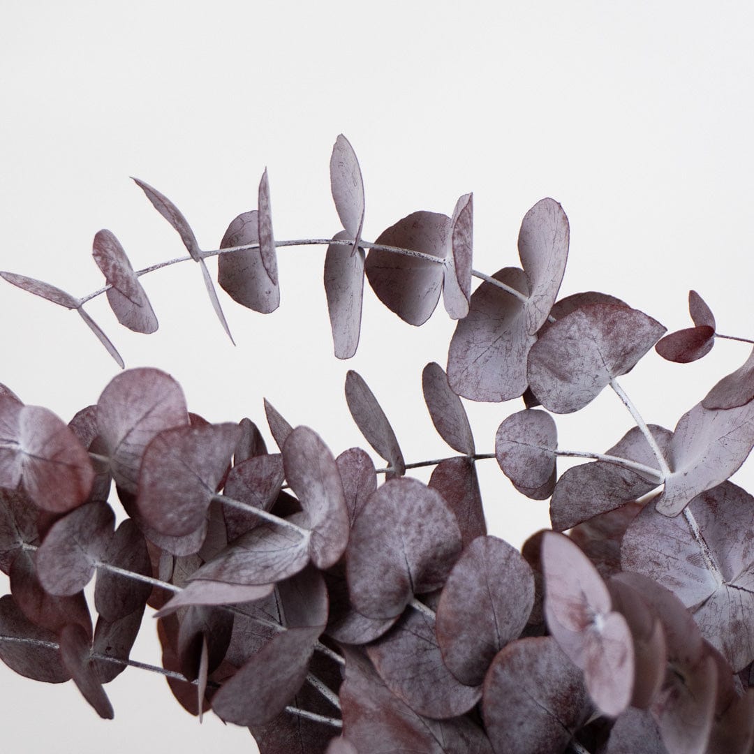 Granatfarbener Eukalyptusstrauß