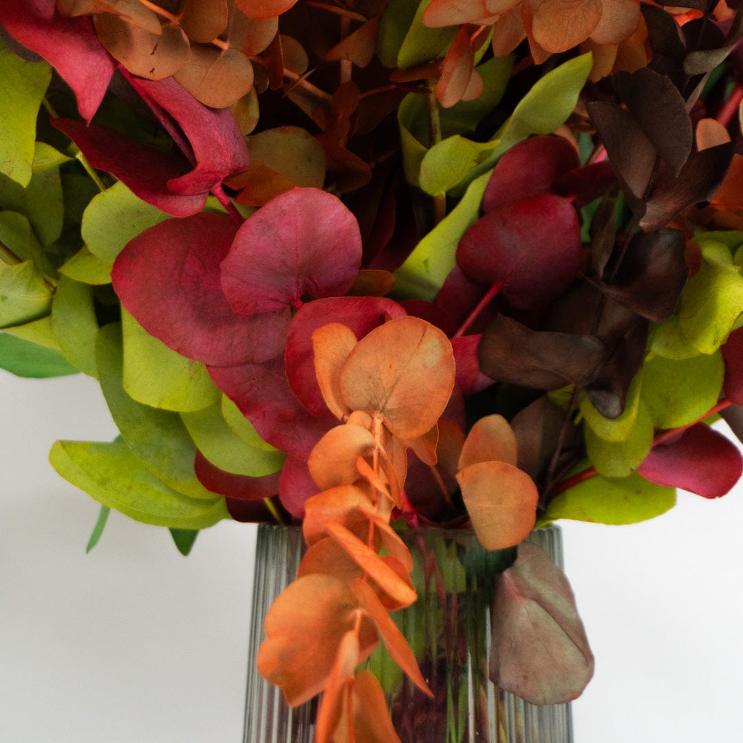 Ramo Eukalyptus Gemischt