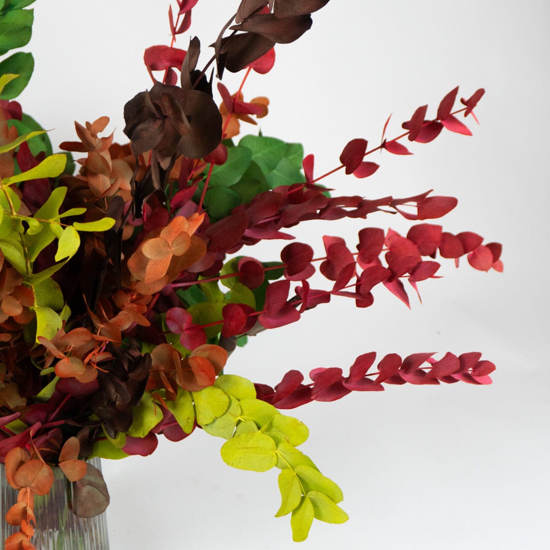 Ramo Eukalyptus Gemischt