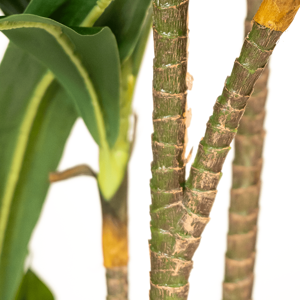 Dracaena Artificiel