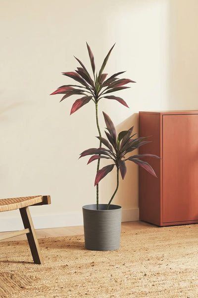 Red Dracaena- Artificial Plant