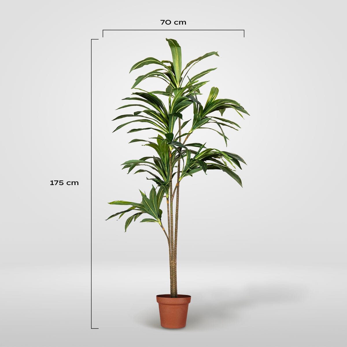 Dracaena Artificiel