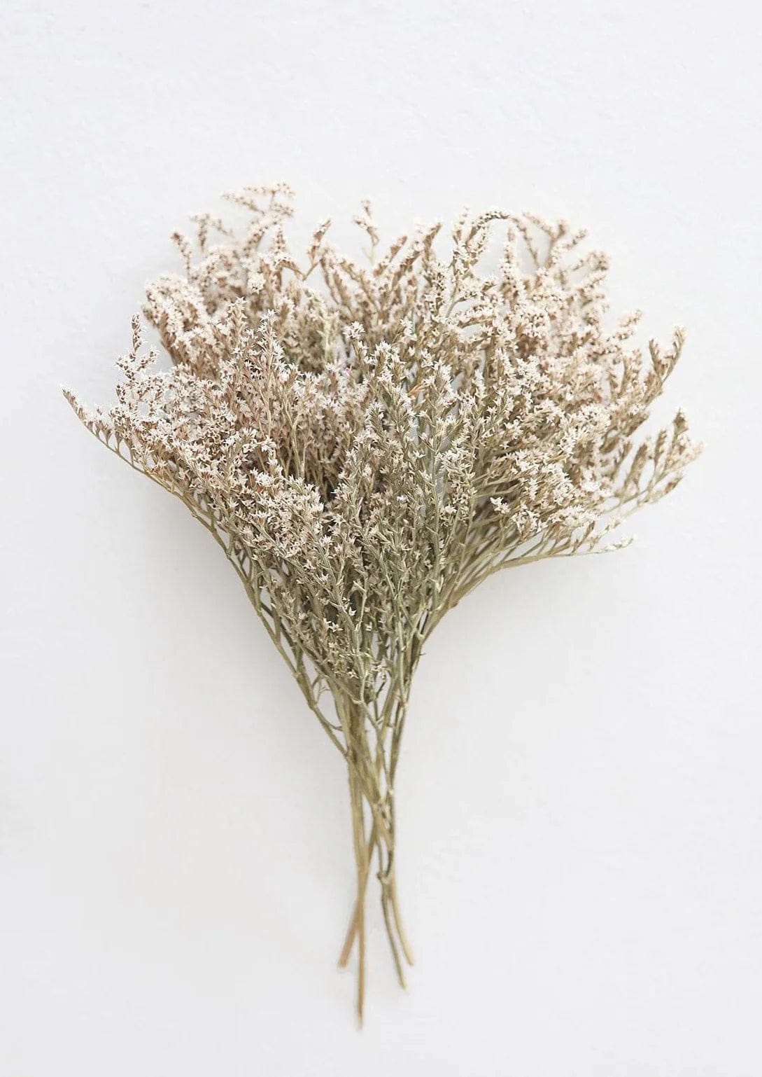 Dried German Statice Flower Bouquet