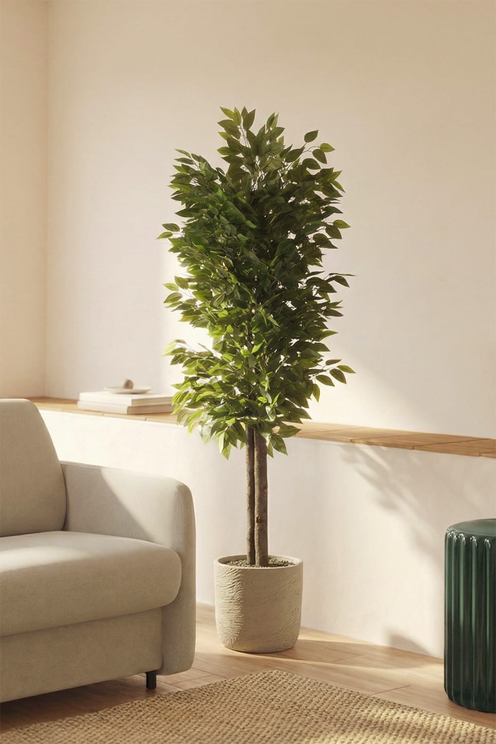 Ficus Wild artificial plant