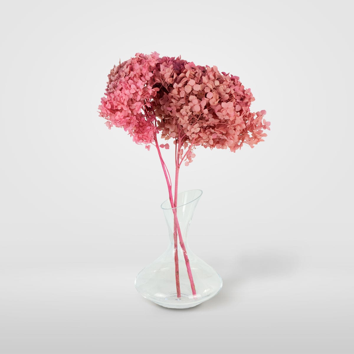 Mazzo di ortensia rosa