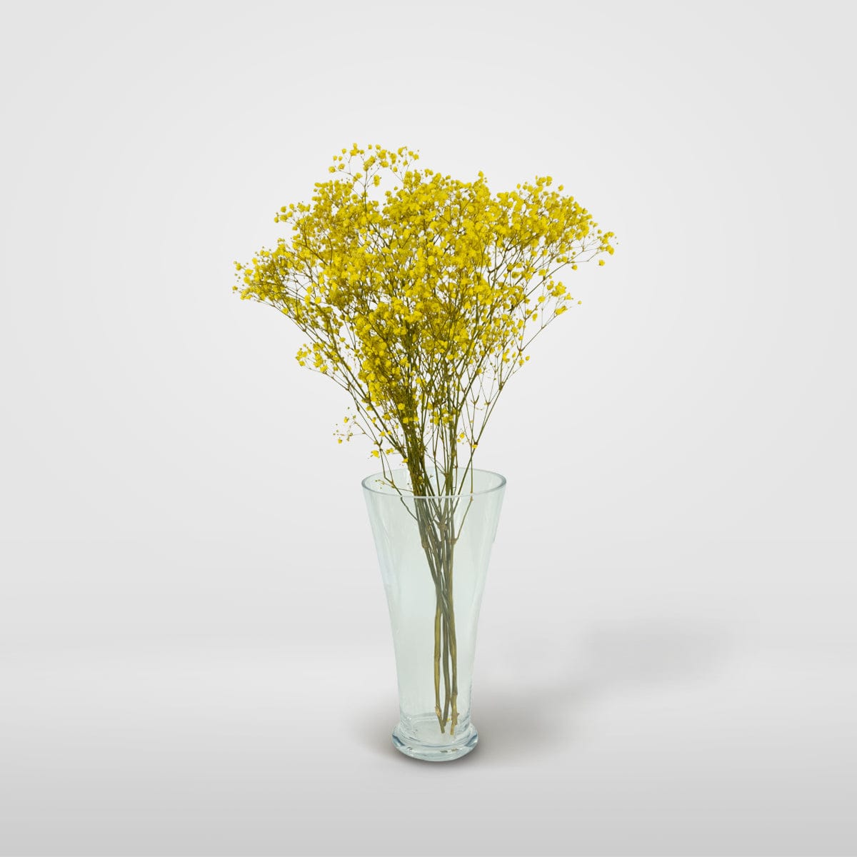 Mazzo di gypsophila gialla