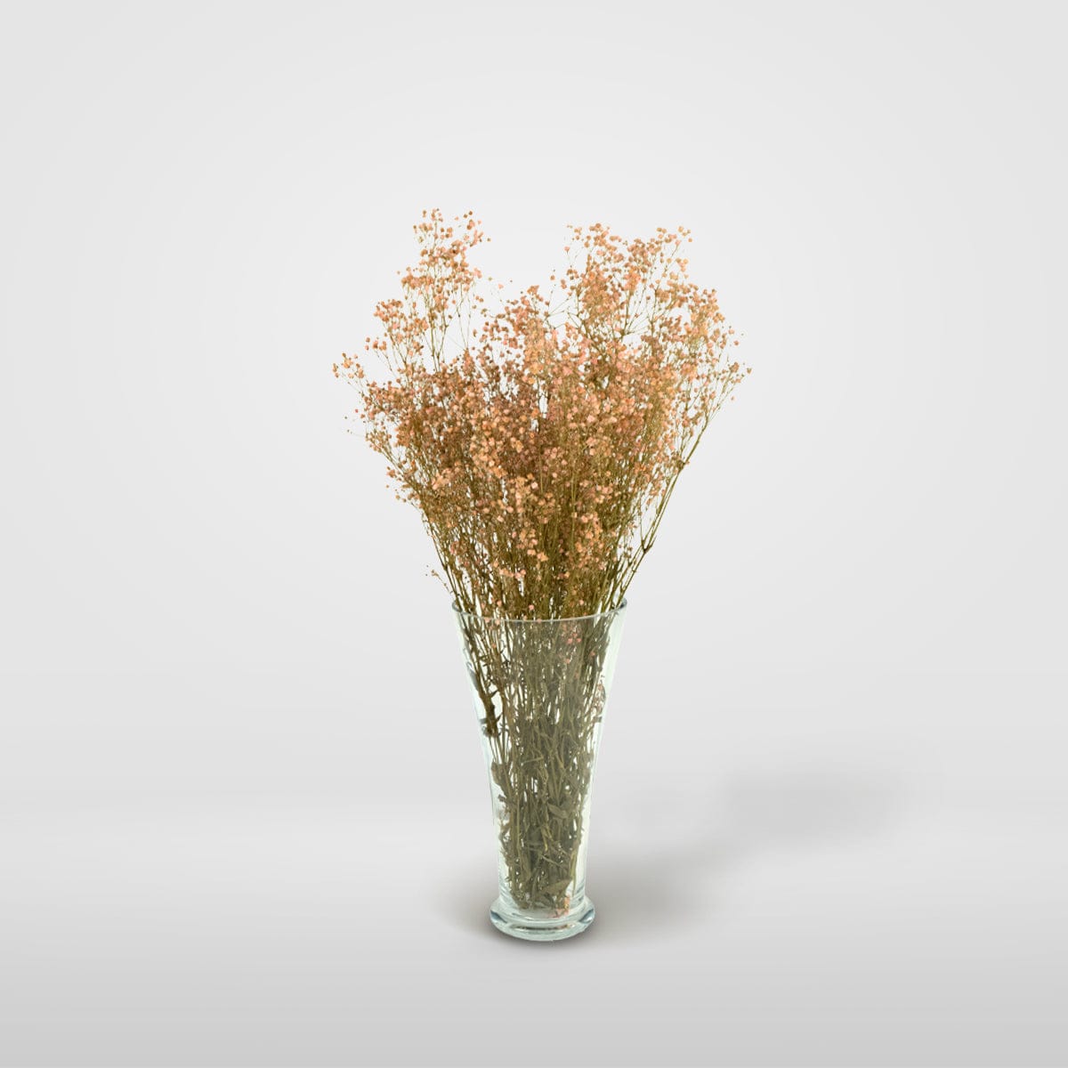 Mazzo di gypsophila rosa chiaro