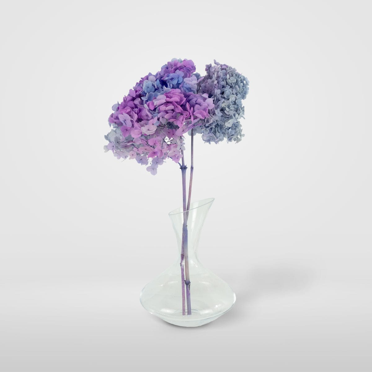 Mazzo di ortensia arcobaleno