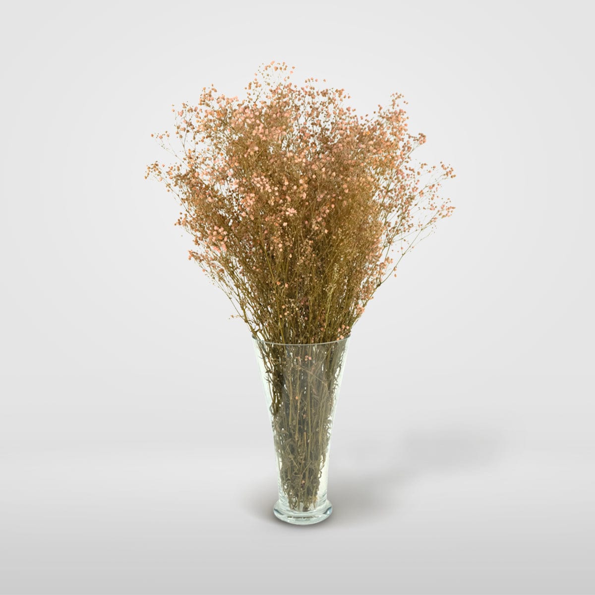 Mazzo di gypsophila rosa chiaro