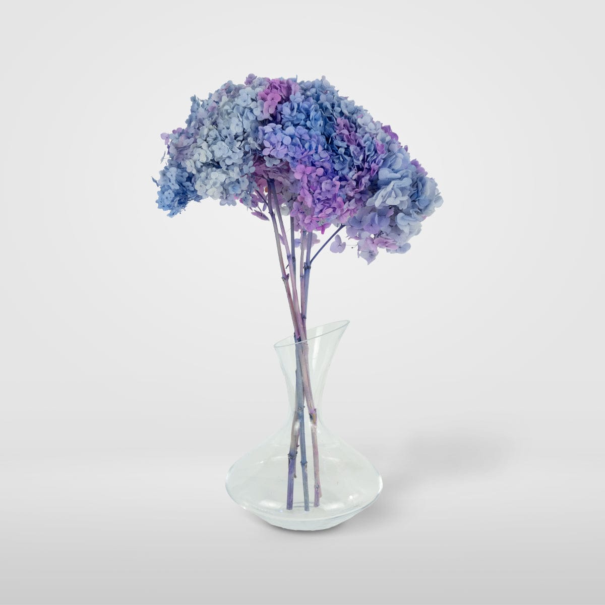 Mazzo di ortensia arcobaleno