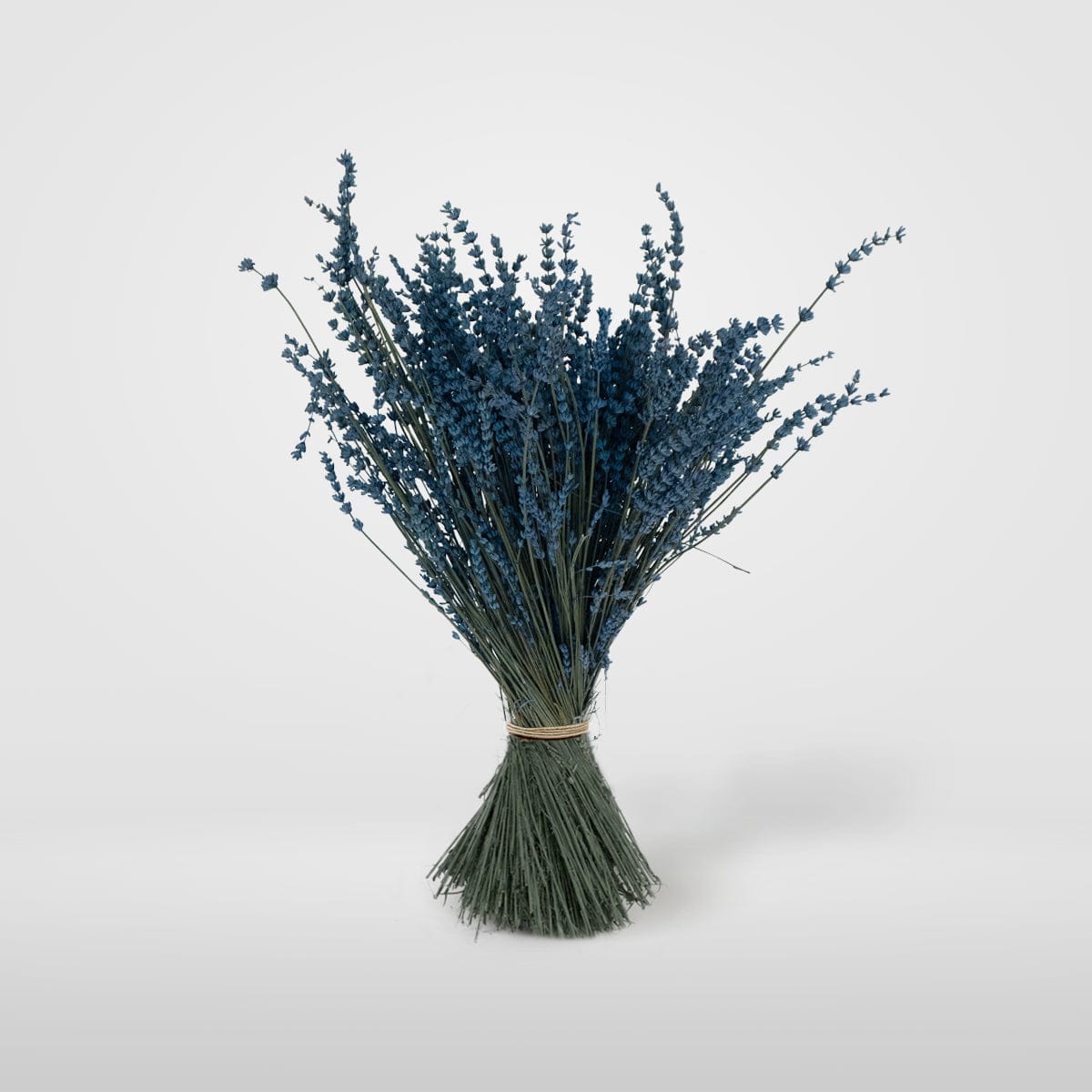 Mazzo di lavanda blu