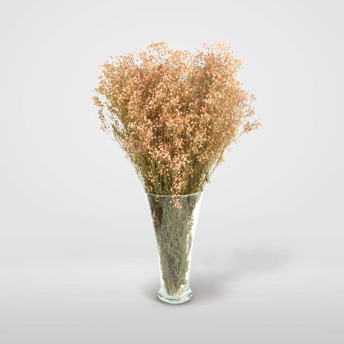 Mazzo di gypsophila rosa chiaro