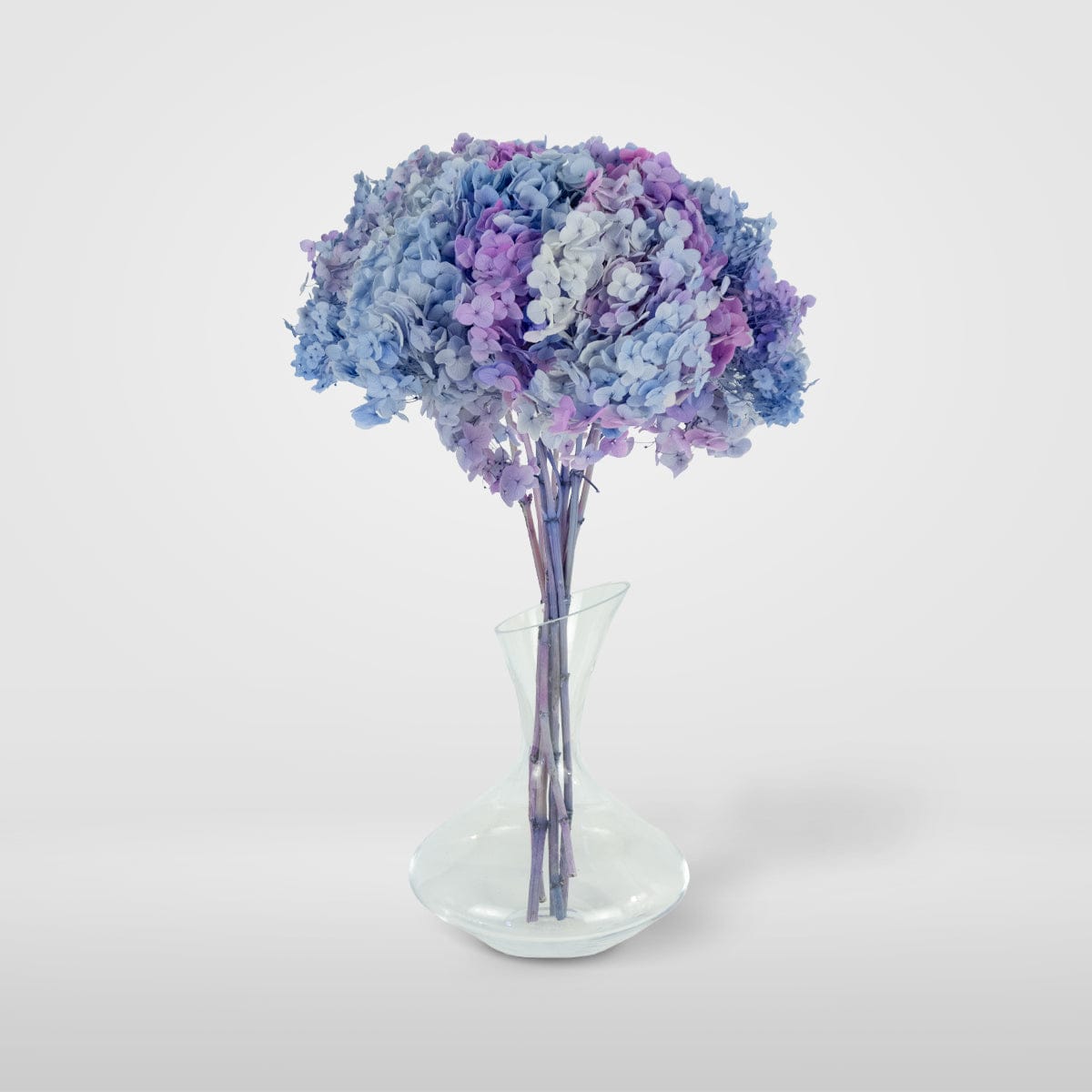 Mazzo di ortensia arcobaleno