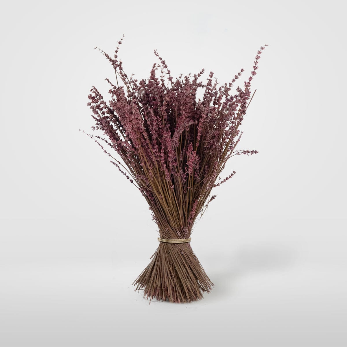 Mazzo di lavanda fucsia