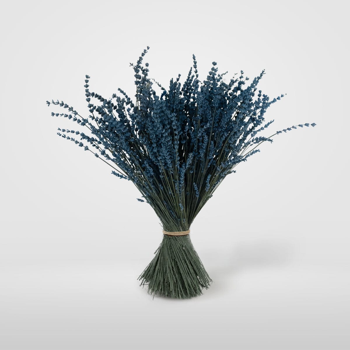 Mazzo di lavanda blu