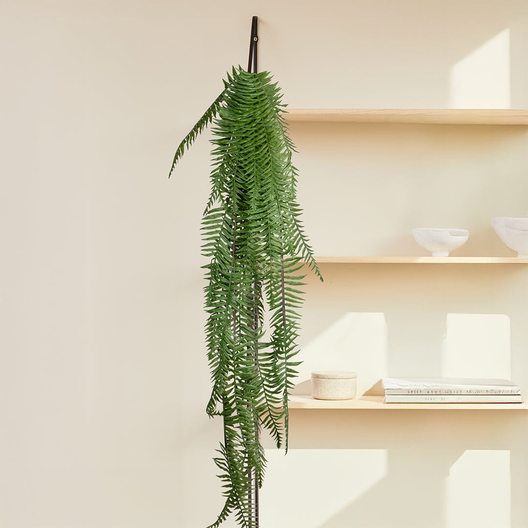 Hängender Grüner Farn