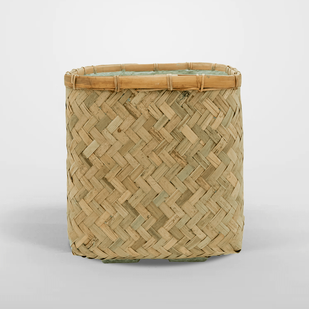 Kobe Bambus