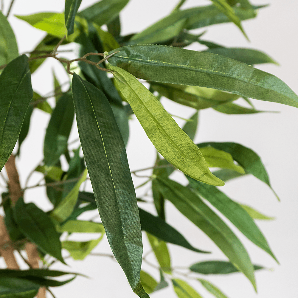 Tropischer Mangobaum XL