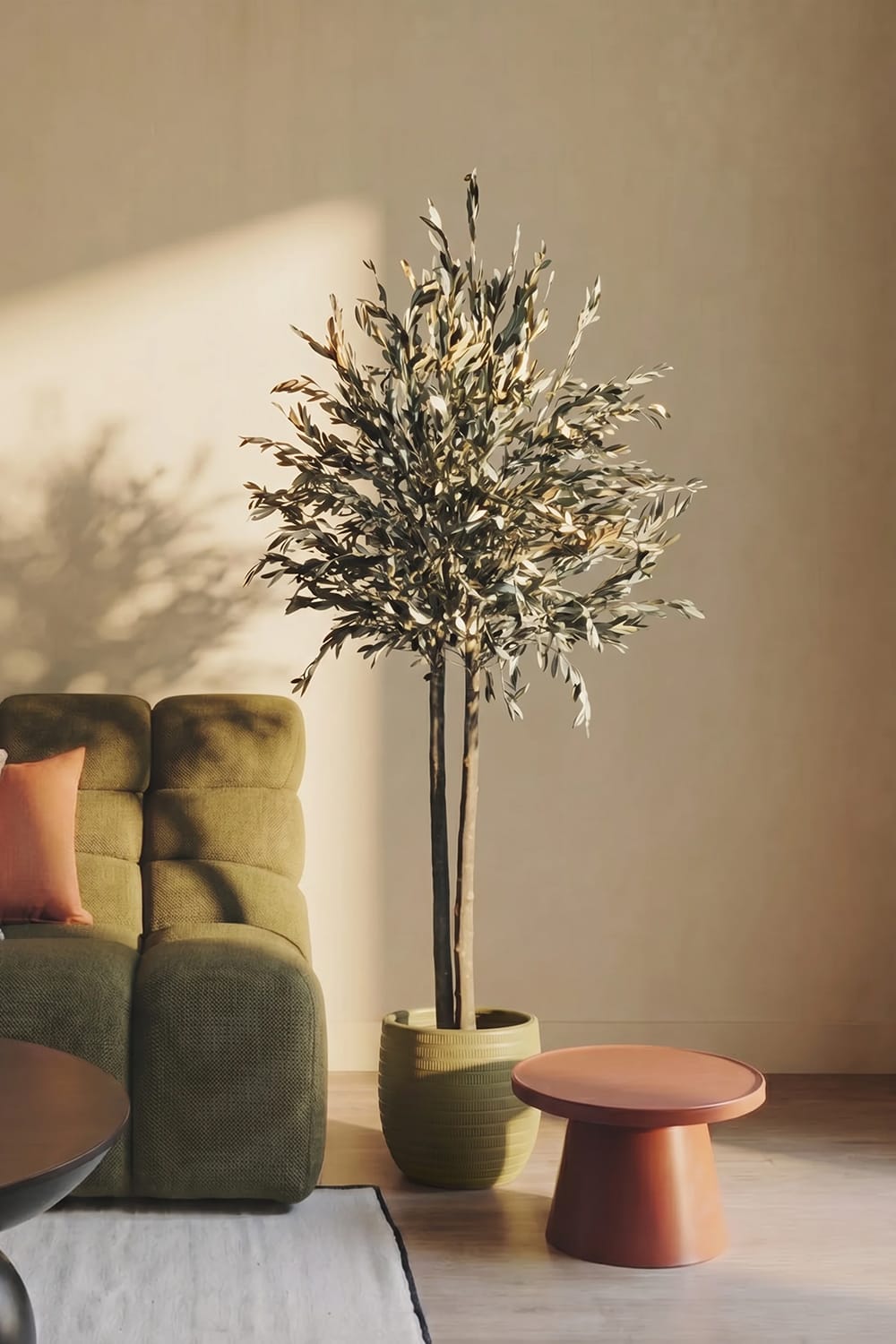 Preserved olive tree