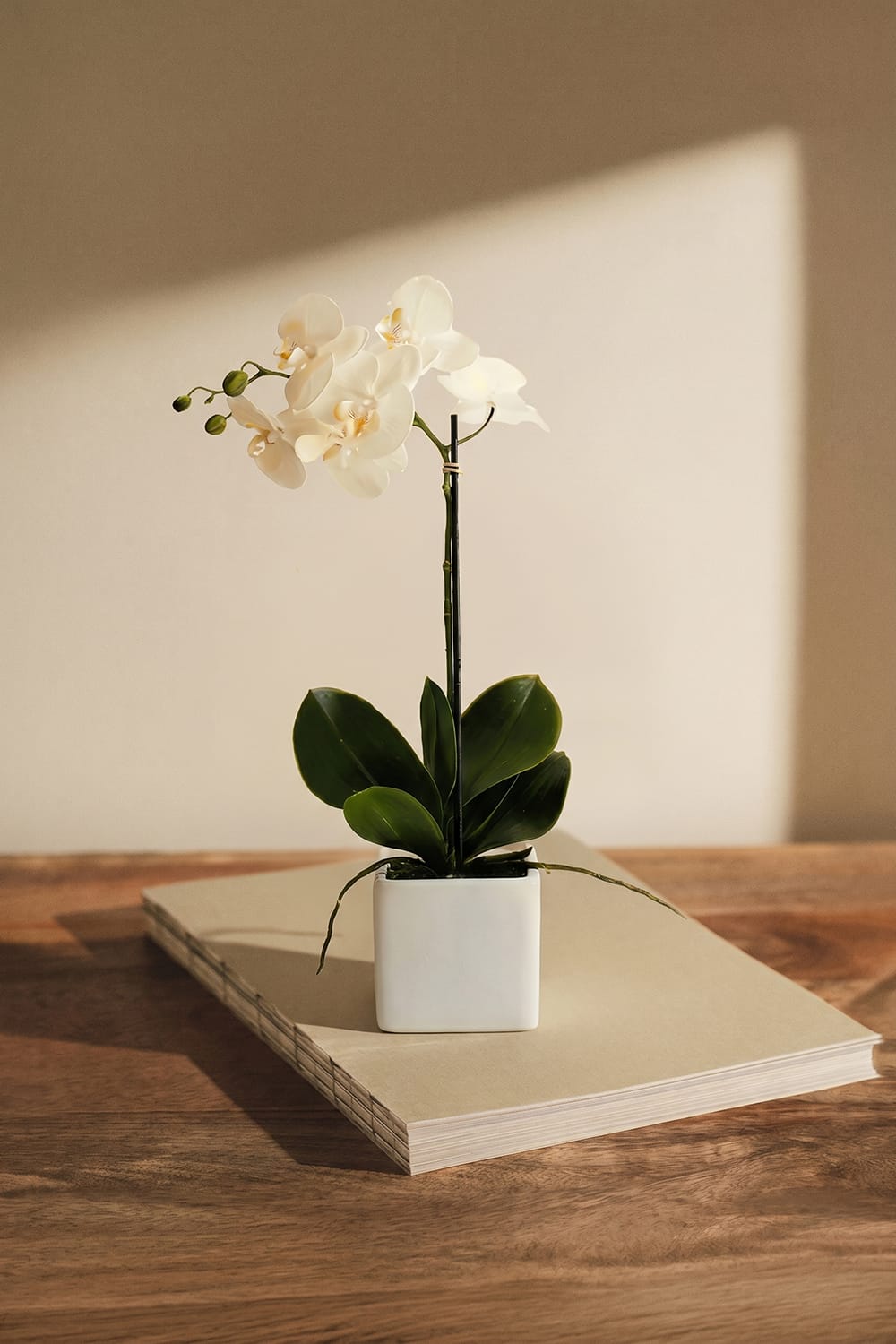Ceramic orchid