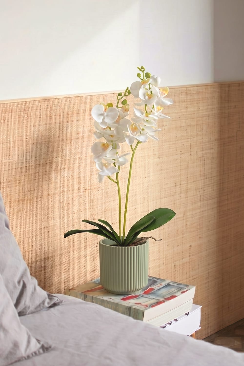 Duo Orchid White
