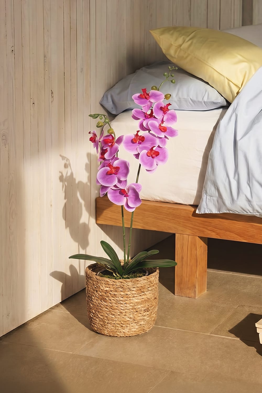 Duo Orchid Fuchsia