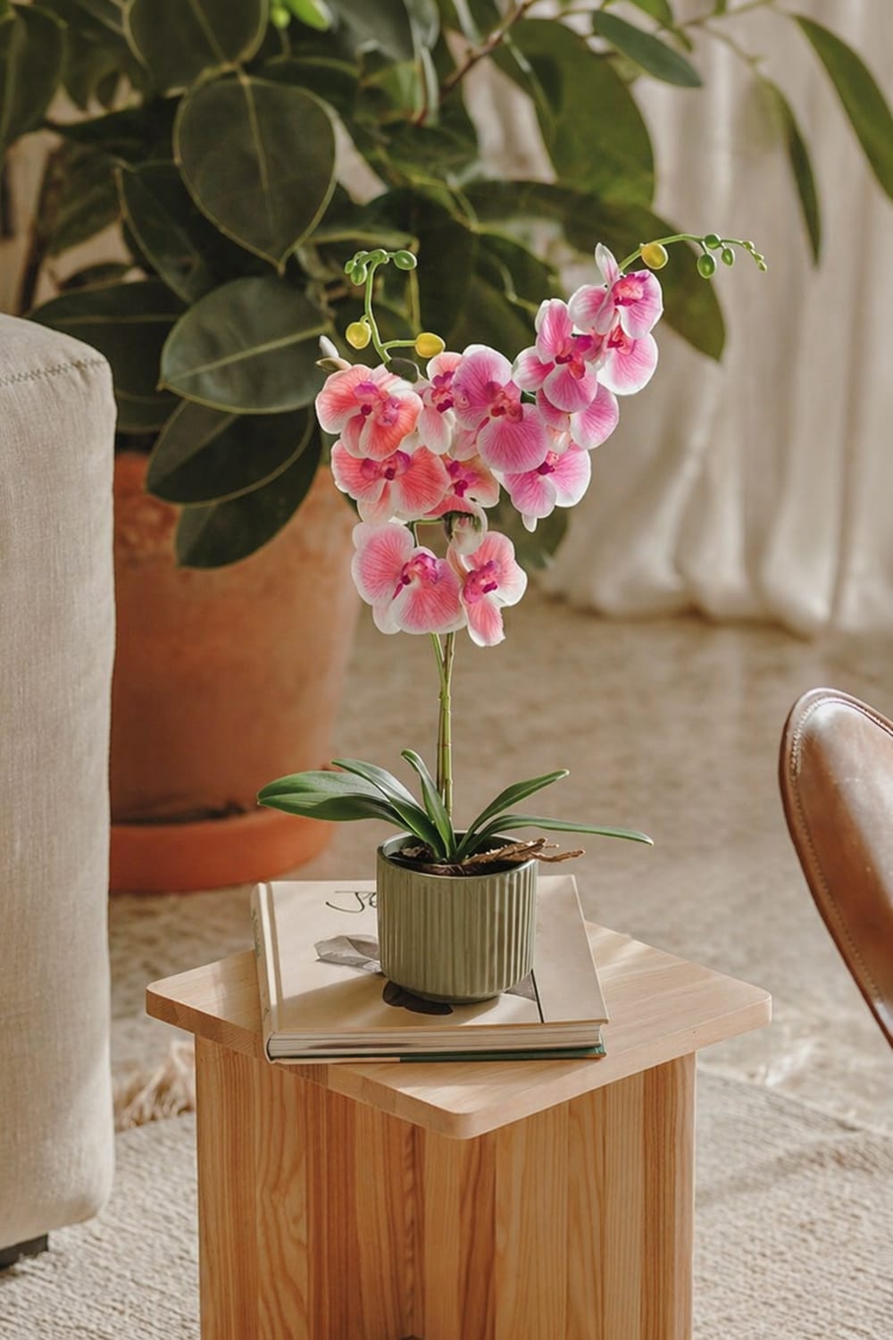 Single Orchid Baby Pink