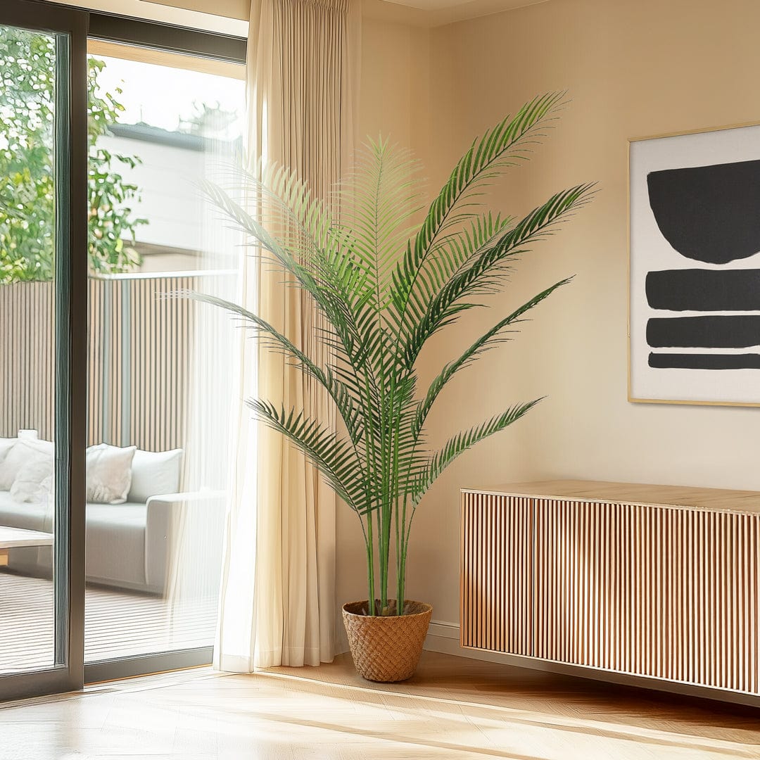 Amazonian Palm