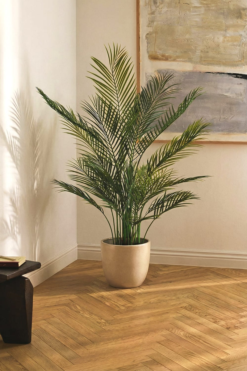 Palma gialla, palma Areca, palma da torta, impianto di plastica (JTLA-0373) - Cina Palma e palme prezzo Palma gialla, palma Areca, palma da torta, impianto di plastica (JTLA-0373) - Cina Palma e palme prezzo