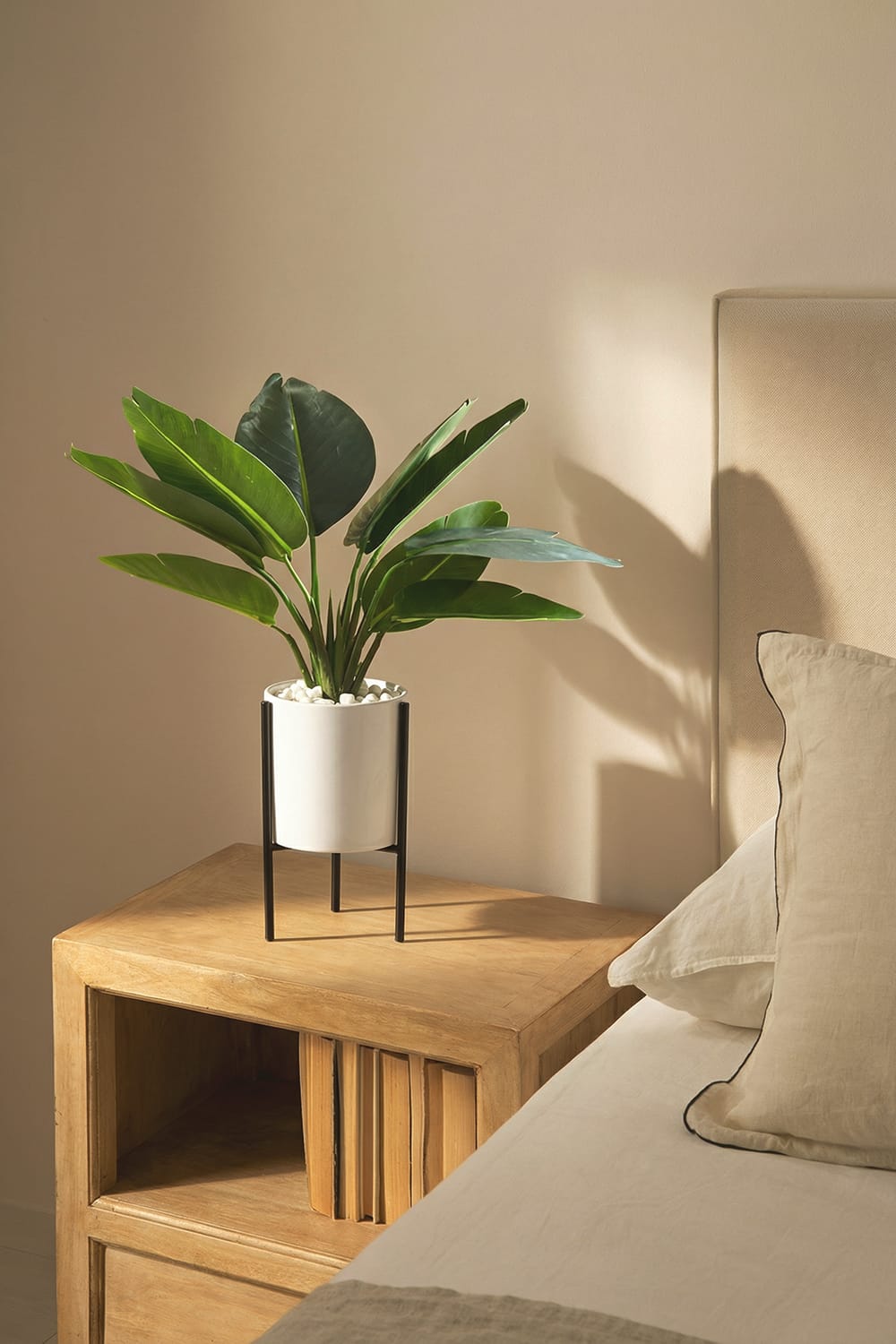 Bananier avec support