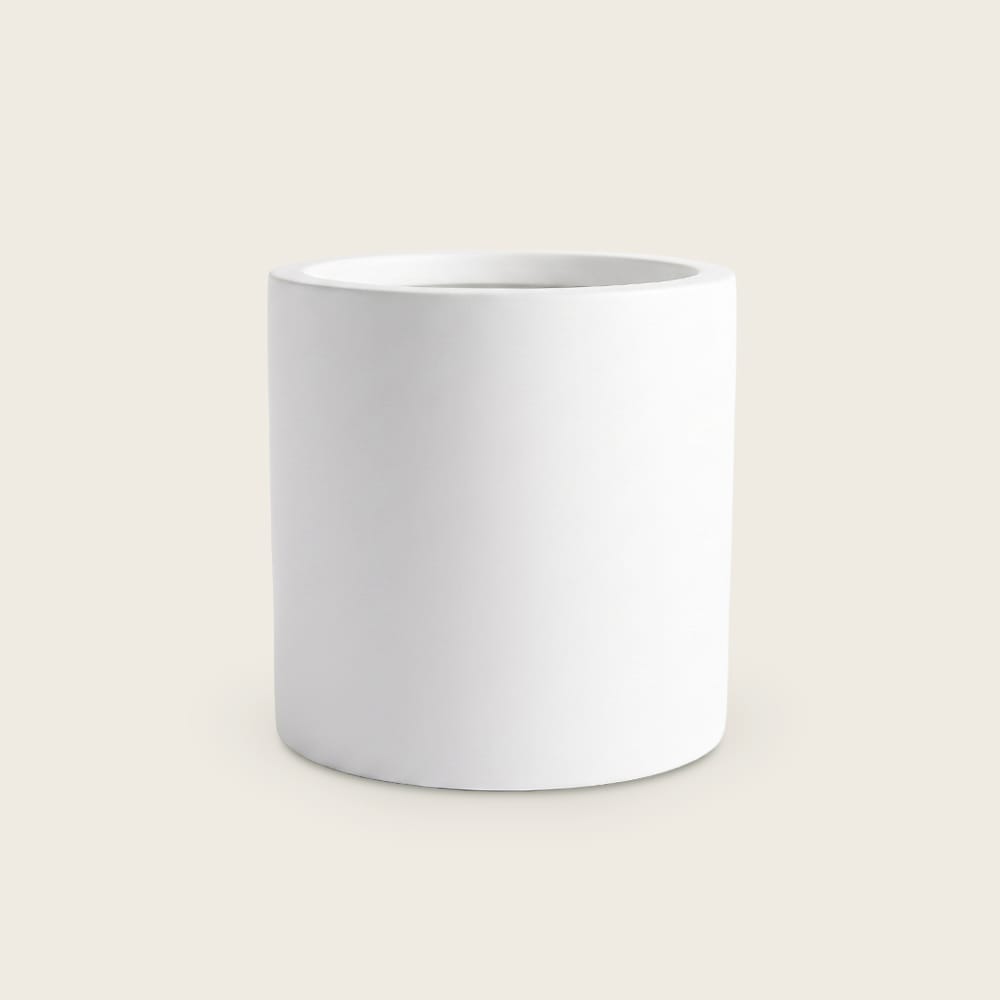 Puk White