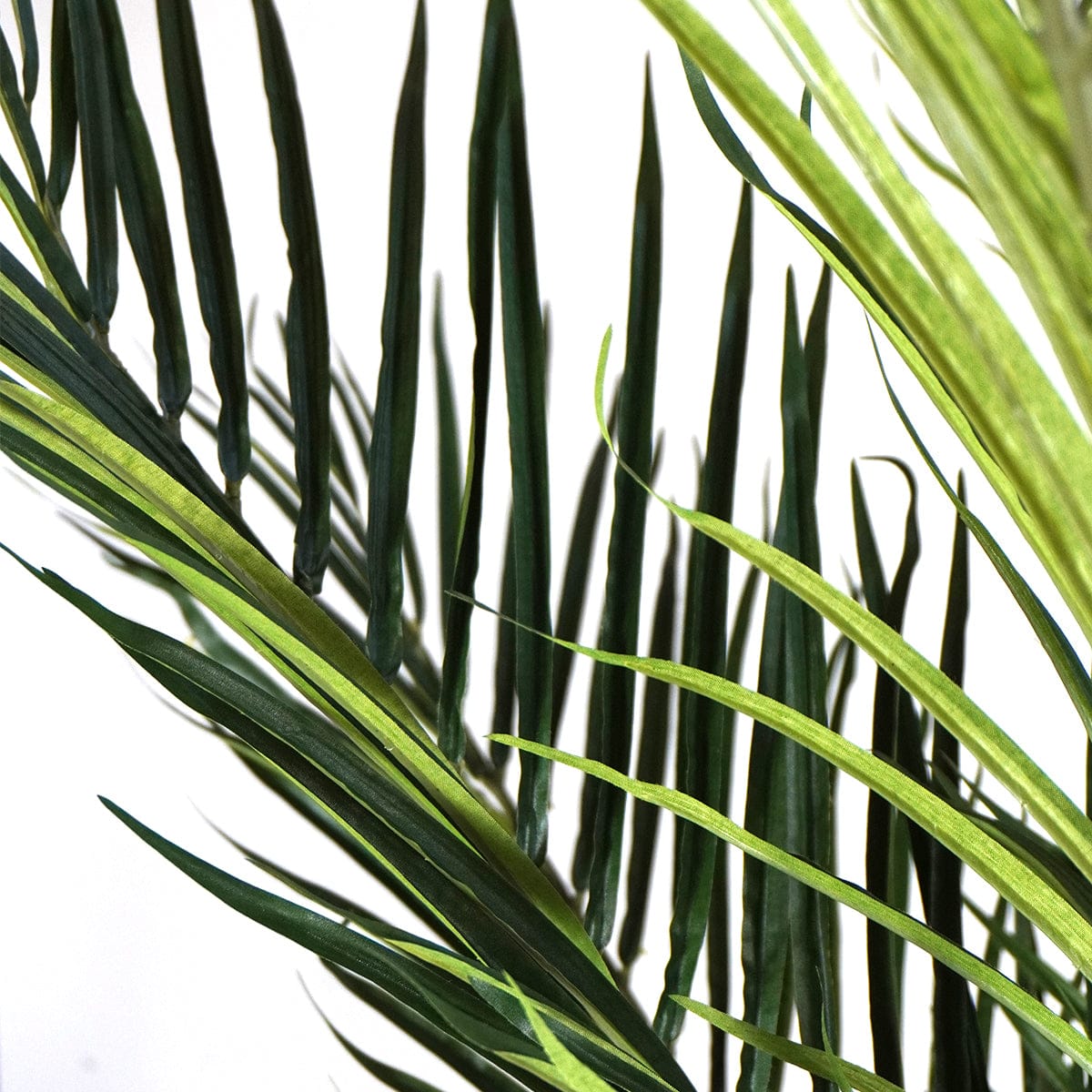 Tropical Palm Tree XL